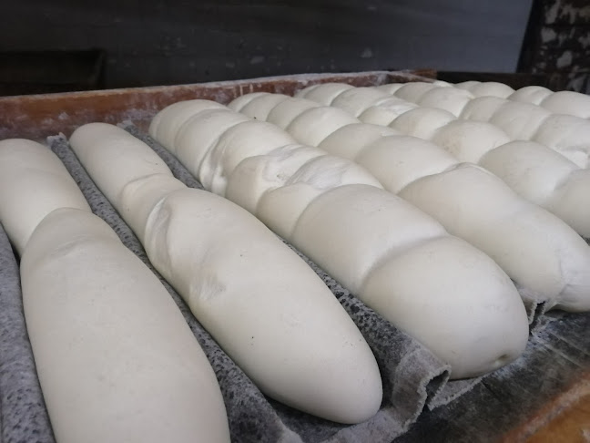 C. Carlos Gardel 1219, 11100 Montevideo, Departamento de Montevideo