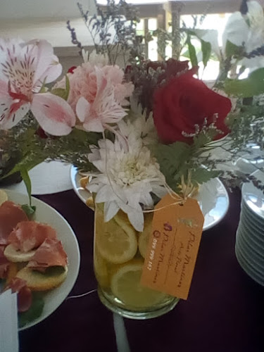 Arostegui S/N, 30000 Minas, Departamento de Lavalleja