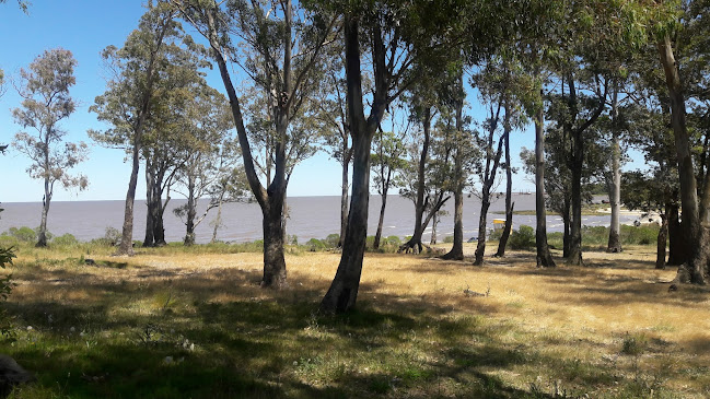 Pizzería "La Vuelta"