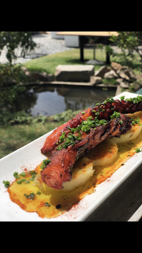 La Casa Violeta - Montevideo