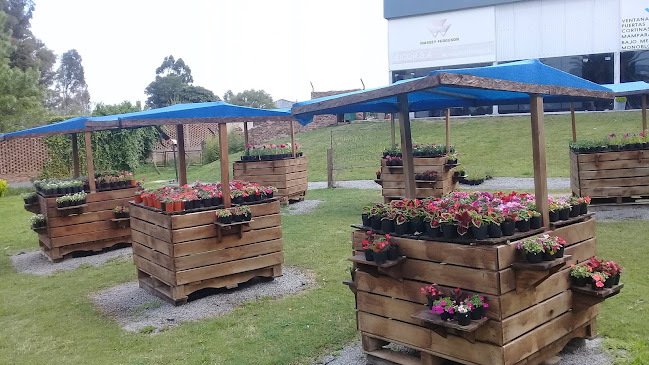 M769+2H5, 80000 San José de Mayo, Departamento de San José