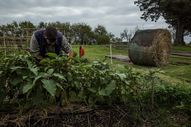 Comentarii opinii despre Huerta agroecologica Espiral del Sol