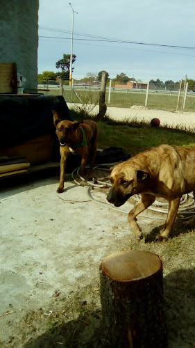 Pizzeria Los Sandes - Ciudad de la Costa