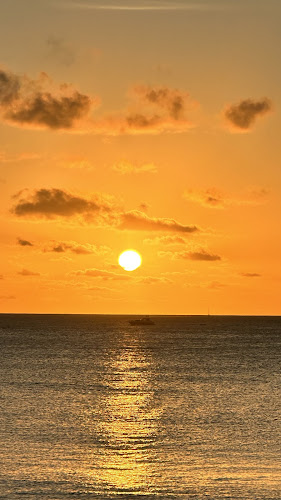 Comentarii opinii despre Muelle 3