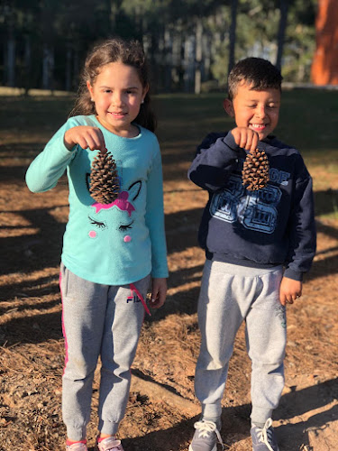 Comentarii opinii despre Saladitos