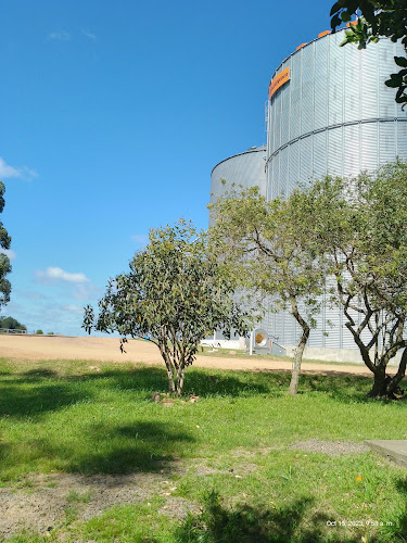 Comentarii opinii despre Oro's Resto-Pub