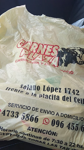 Carnes plaza