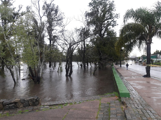 Lo De Rúberico - Gastronomía y hostelería