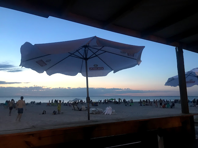 Beach Bar - Gastronomía y hostelería