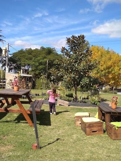 Caffe vivero motivos