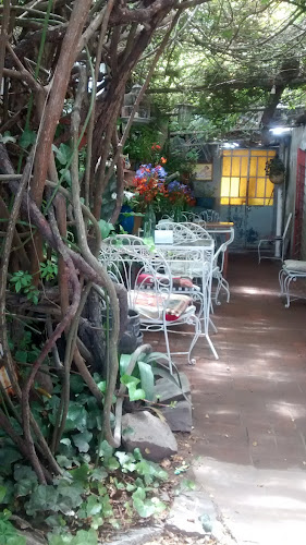 Opinii despre Viejo Almacén în Rocha - Gastronomía y hostelería