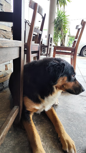 Opinii despre Rodó Restó y Pizzas în Canelones - Gastronomía y hostelería