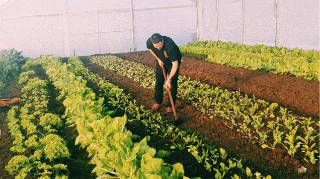 11, 12242 Canelones, Departamento de Canelones