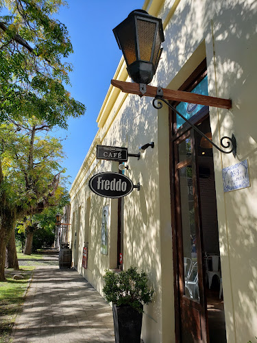 Comentarii opinii despre Freddo