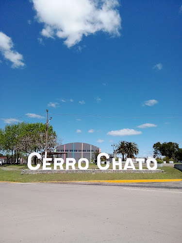 Mr.Chivito - Gastronomía y hostelería