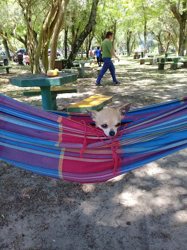 kiosco RSB Uruguay - Gastronomía y hostelería