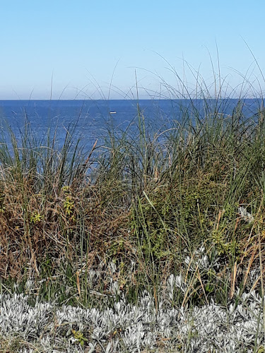 La Cocina de Pato - Gastronomía y hostelería