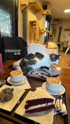 Comentarii opinii despre Telizzia Cat Café