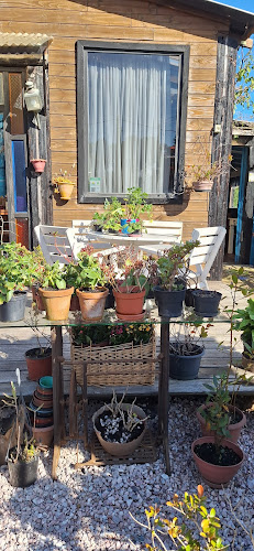 Brasileirissimo - Restaurante e Pousada - Punta del Diablo