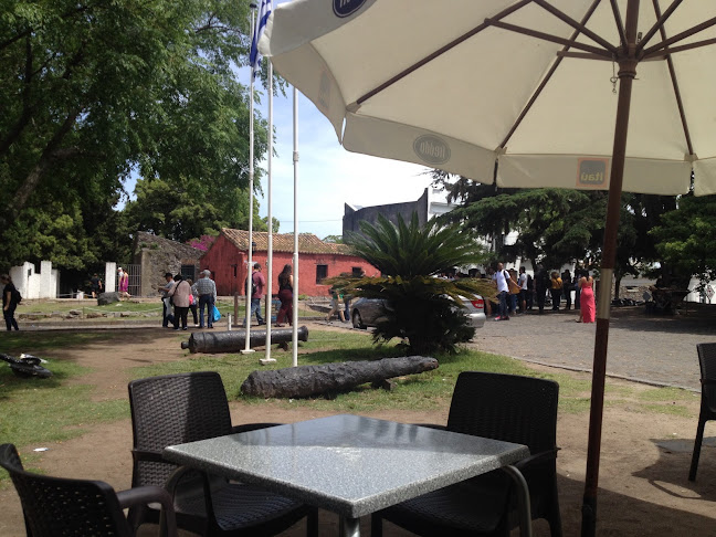 Comentarii opinii despre Freddo