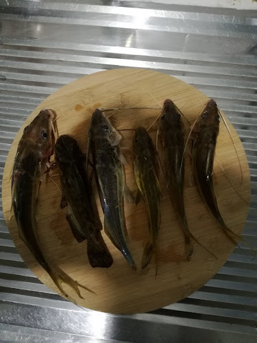 Sede Rampla - Gastronomía y hostelería