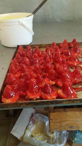 Gral. Fructuoso Rivera, 20000 Pan de Azúcar, Departamento de Maldonado