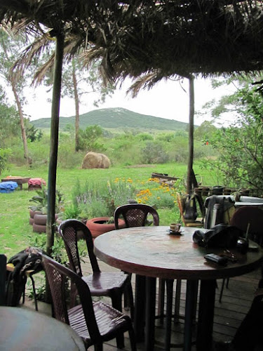 Ave Chile, 20200 Punta Negra, Departamento de Maldonado