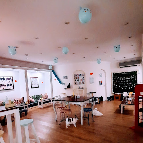 ADRIANUZCA'S CAT CAFÉ ☕🐈