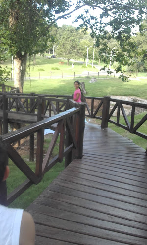 Parador Parque Rodó - Minas