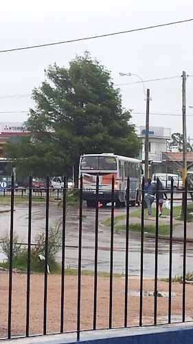 Panadería y Confitería La Cruz - Gastronomía y hostelería