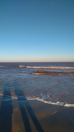 Sushi by Caro - Gastronomía y hostelería