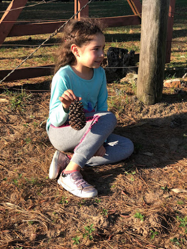 Saladitos - Gastronomía y hostelería