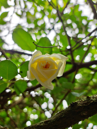 Lo de Joselo - Gastronomía y hostelería