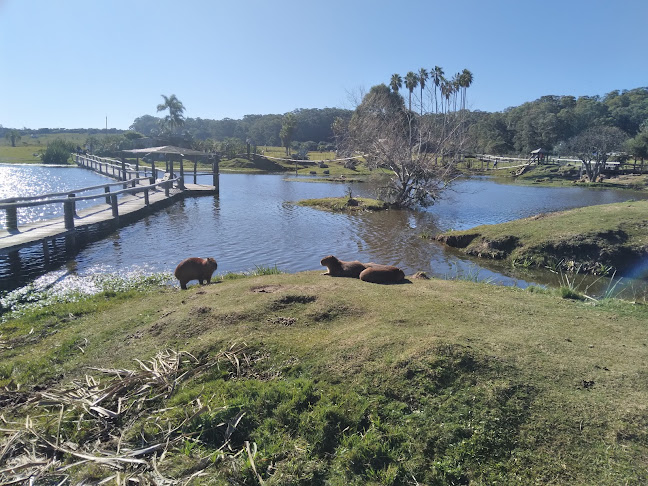 Opinii despre L Y L Delicias în Rivera - Gastronomía y hostelería