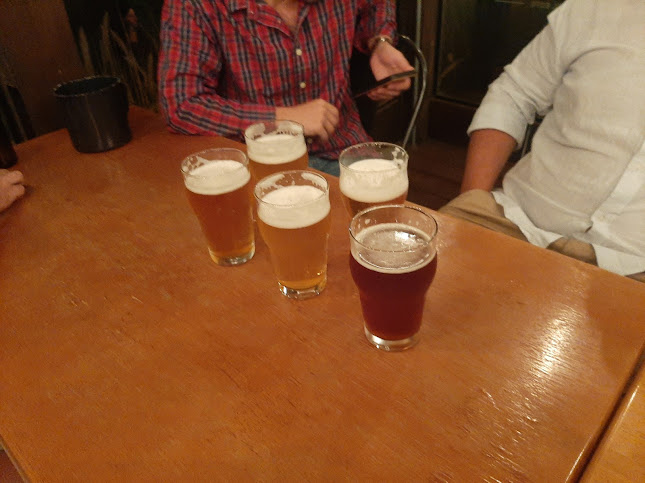 1516 Cervecería - Punta Ballena