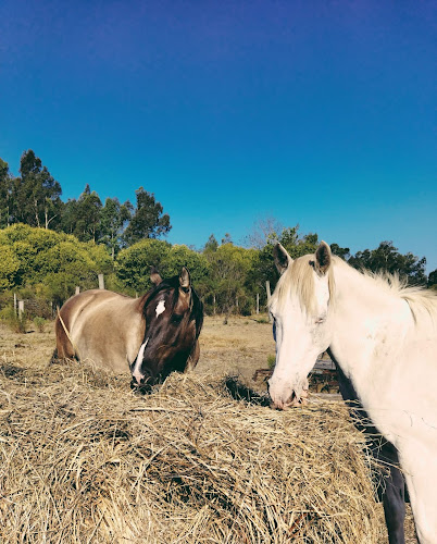 Opinii despre Brújula Café în Montevideo - Gastronomía y hostelería