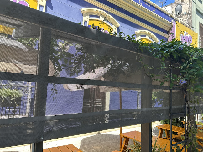 Opinii despre Pío Pío în Paysandú - Gastronomía y hostelería