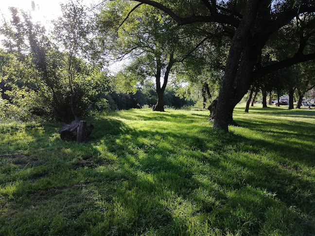 JQF2+3W3, 30000 Minas, Departamento de Lavalleja