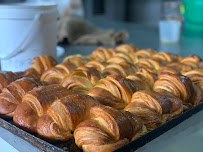 Montevideo Bakery Store - Montevideo