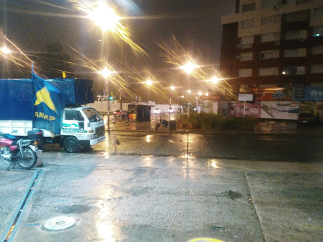 Pizzeria Belgrano - Gastronomía y hostelería