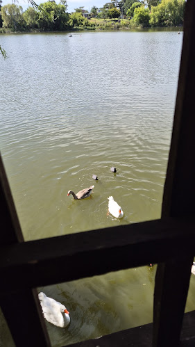 Opinii despre Indico Pizza Bar în Ciudad de la Costa - Gastronomía y hostelería