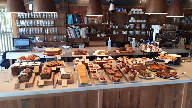 Mostrador Santa Teresita