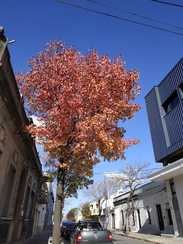 WQ3M+4J8, 94000 Florida, Departamento de Florida