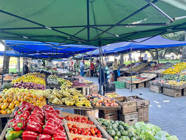 Feria De Villa Biarritz - Montevideo
