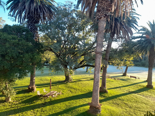 Comentarii opinii despre Viejo Hotel Solis