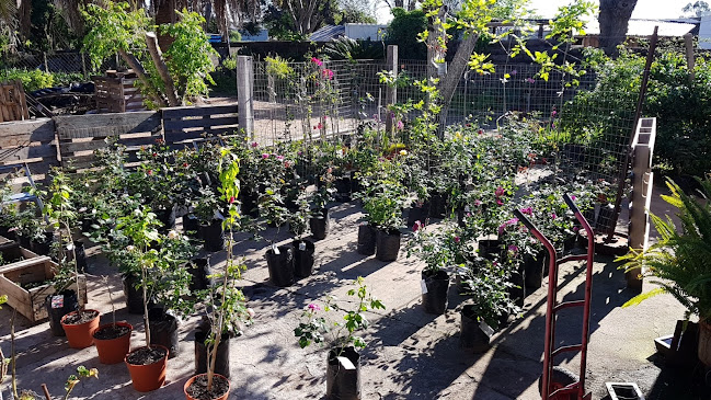 Opinii despre Agropecuaria Maneiro în Mercedes - Gastronomía y hostelería