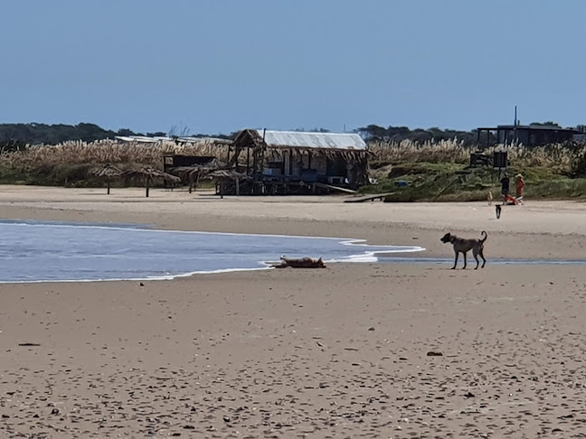 Opinii despre Los Botes în La Paloma - Gastronomía y hostelería