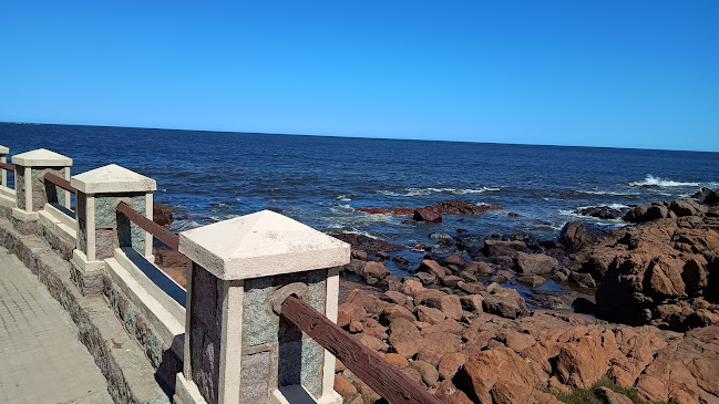 Comentarii opinii despre Trattoria Da Piero