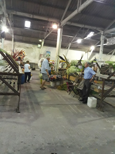 COFLORAL (mercado de flores) - Gastronomía y hostelería