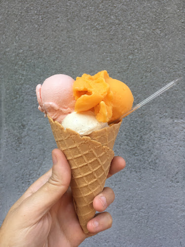 11300 Montevideo, Departamento de Montevideo